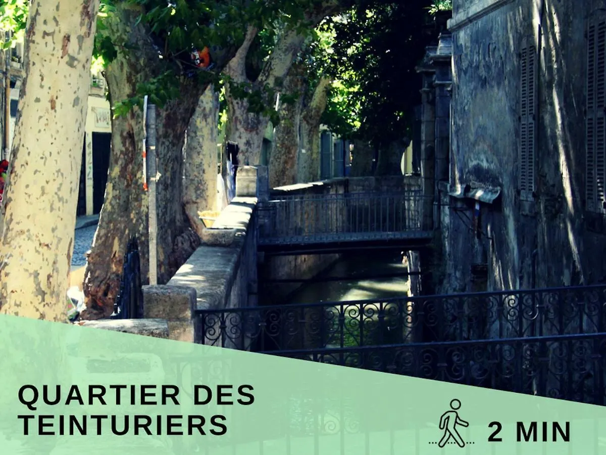Le Petit Avignonnais - Aphrodite - Intramuros - Center -